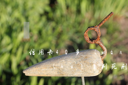 信用卡40多萬(wàn)無(wú)力償還會(huì)判死刑嗎-信用卡40多萬(wàn)無(wú)力償還會(huì)判死刑嗎知乎