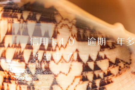 信用卡40萬逾期一年多(信用卡逾期40萬等坐牢了)