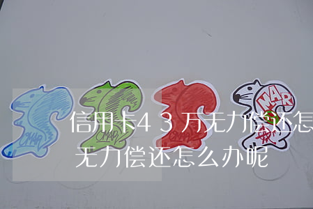 信用卡43万无力偿还怎么办(信用卡43万无力偿还怎么办呢)