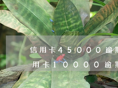 信用卡45000逾期三個(gè)月-信用卡10000逾期五個(gè)月