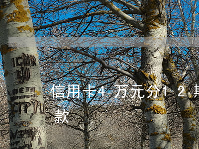信用卡4万元分12期（信用卡欠4万分期还款）