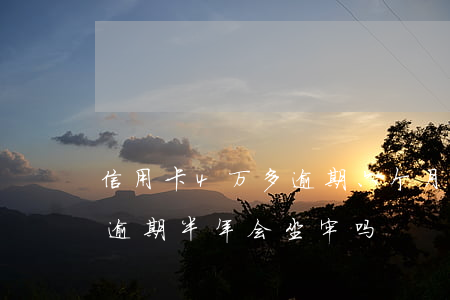 信用卡4万多逾期六个月怎么办(信用卡4万逾期半年会坐牢吗)