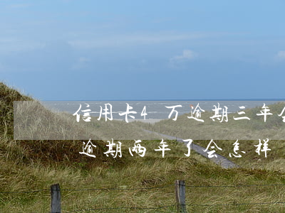 信用卡4万逾期三年会坐牢吗(欠信用卡四万逾期两年了会怎样)
