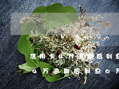 信用卡4万逾期后利息6万合理吗-信用卡4万逾期后利息6万合理吗为什么