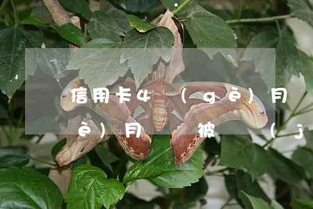 信用卡4個(gè)月沒還(信用卡4個(gè)月沒還,被凍結(jié)了會(huì)怎樣)