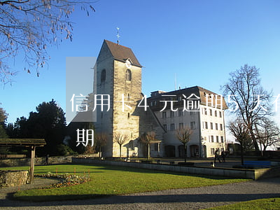 信用卡4元逾期5天有事吗（信用卡四张没逾期）