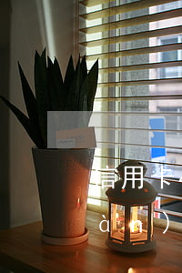 信用卡4千多逾期一年多了（信用卡4萬(wàn)逾期9個(gè)月要還多少）