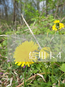 信用卡4年前逾期1次能貸款嗎