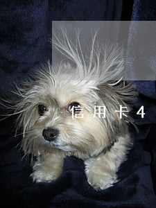 信用卡4次逾期了 信用卡4次逾期了怎么辦