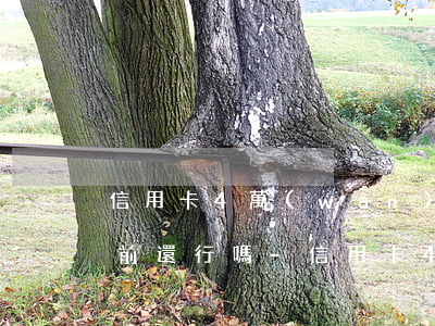信用卡4萬(wàn)逾期開(kāi)庭前還行嗎-信用卡4萬(wàn)逾期開(kāi)庭前還行嗎