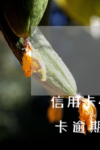 信用卡4萬5千逾期三個月補救-5千信用卡逾期兩年半