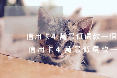 信用卡4萬最低還款一個(gè)月利息-信用卡4萬最低還款一個(gè)月利息多少