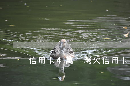 信用卡4萬沒還(欠信用卡4萬還不上怎么辦)