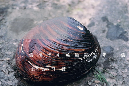信用卡4萬逾期3年-信用卡4萬逾期3年怎么計算