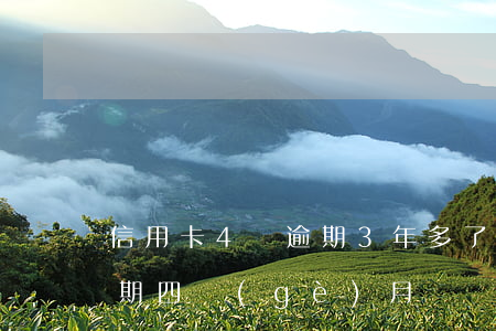 信用卡4萬逾期3年多了(信用卡欠款三萬逾期四個(gè)月)
