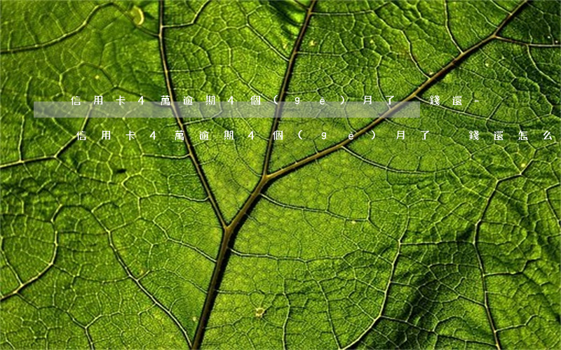 信用卡4萬逾期4個(gè)月了沒錢還-信用卡4萬逾期4個(gè)月了沒錢還怎么辦