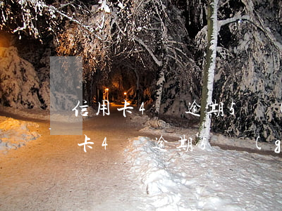 信用卡4萬逾期5個(gè)月怎么辦(信用卡4萬逾期5個(gè)月怎么辦呢)