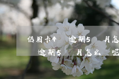 信用卡4萬逾期5個月怎么辦呢-信用卡4萬逾期5個月怎么辦呢