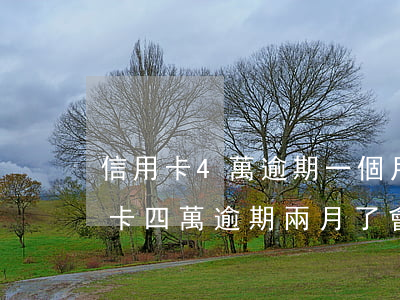 信用卡4萬逾期一個月產生多少利息（欠信用卡四萬逾期兩月了會怎樣）
