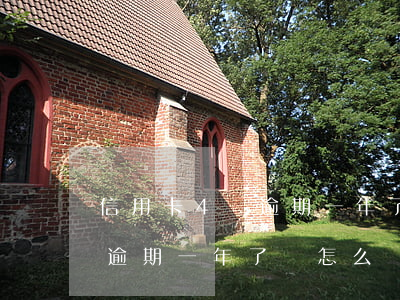 信用卡4萬逾期一年了會怎么樣(信用卡4萬逾期一年了會怎么樣)