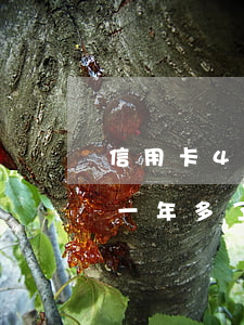 信用卡4萬逾期一年多了-信用卡4萬逾期一年多了會(huì)坐牢嗎