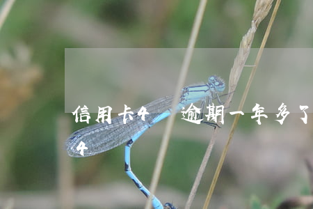 信用卡4萬逾期一年多了（信用卡逾期多久變4萬）