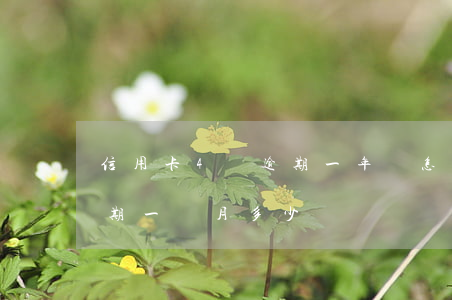 信用卡4萬逾期一年會怎么樣(信用卡4萬逾期一個月多少錢)