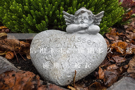 信用卡4萬逾期多久會被起訴（信用卡欠款4萬逾期會被起訴）
