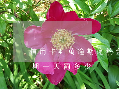 信用卡4萬逾期違約金是多少(信用卡4萬逾期一天罰多少)