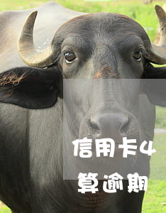 信用卡4號(hào)還8號(hào)還算逾期嗎(信用卡4號(hào)到期七號(hào)還款算逾期嗎)