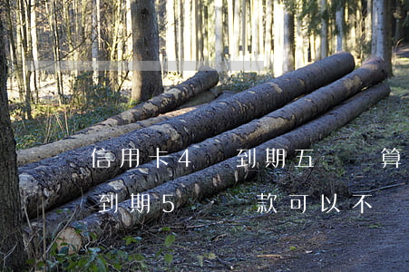 信用卡4號到期五號還算逾期嗎(信用卡5號到期5號還款可以不)