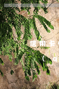 信用卡50000逾期一個(gè)月多少錢(qián)-信用卡50000逾期一個(gè)月多少錢(qián)利息