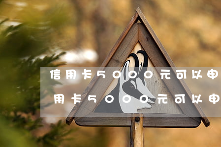 信用卡5000元可以申請停息掛賬嗎-信用卡5000元可以申請停息掛賬嗎安全嗎