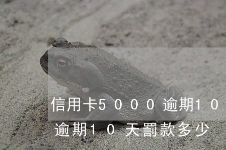 信用卡5000逾期10天(信用卡5000逾期10天罰款多少)