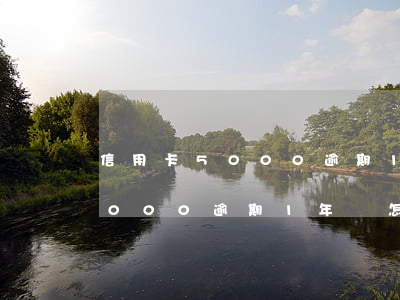 信用卡5000逾期1年會怎樣-信用卡5000逾期1年會怎樣處理呢
