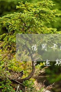 信用卡5000逾期2年還款(信用卡5000逾期2年還款計劃)