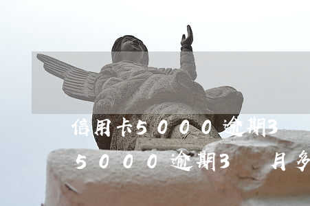 信用卡5000逾期3個月多少錢-信用卡5000逾期3個月多少錢利息