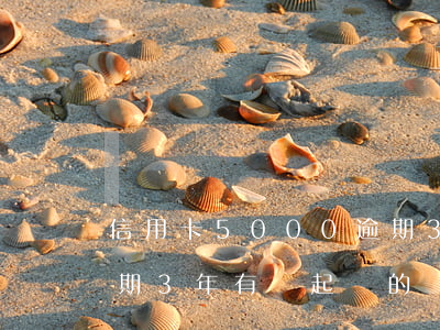 信用卡5000逾期3年(信用卡5000逾期3年有給起訴的嗎?)