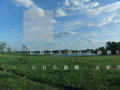 信用卡5000逾期5天利息多少(信用卡5000逾期一天多少錢)