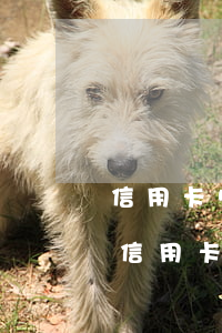 信用卡5000逾期一個(gè)月利息-信用卡5000逾期一天多少錢(qián)
