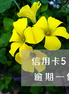 信用卡5000逾期一個月(信用卡5000逾期一個月利息多少)