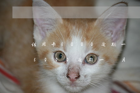信用卡5000逾期一個月對征信-信用卡5000逾期一個月對征信有影響嗎