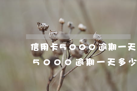信用卡5000逾期一天多少錢了-信用卡5000逾期一天多少錢了啊