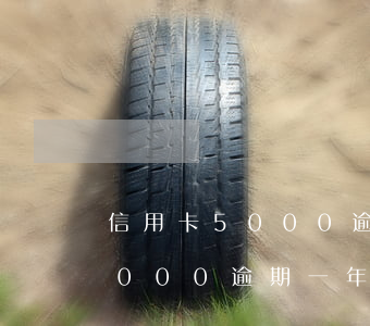 信用卡5000逾期一年多少錢-信用卡5000逾期一年多少錢啊