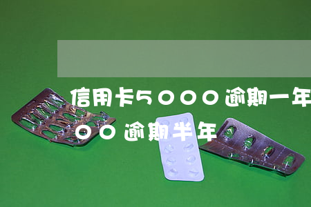 信用卡5000逾期一年多起訴(信用卡5000逾期半年)