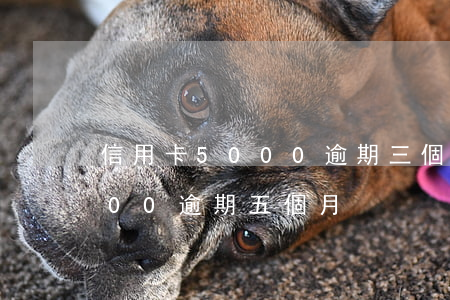 信用卡5000逾期三個月了(信用卡10000逾期五個月)