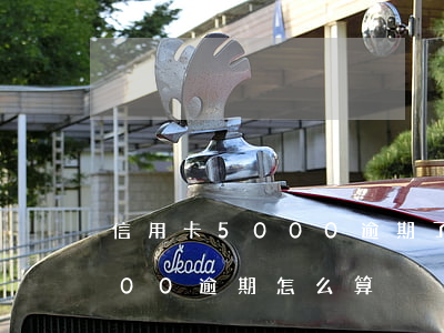 信用卡5000逾期了怎么辦（信用卡50000逾期怎么算）
