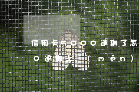 信用卡5000逾期了怎么辦（信用卡5000逾期上門(mén)簽文件）