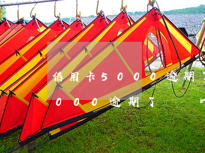 信用卡5000逾期了違約咋算-信用卡5000逾期了違約咋算利息