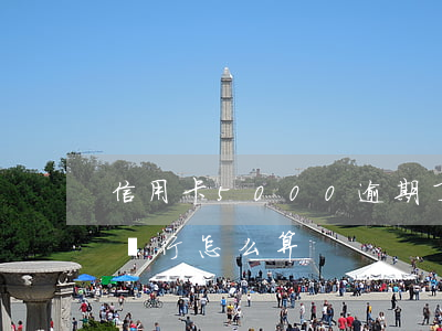 信用卡5000逾期了違約咋算（信用卡逾期銀行怎么算）